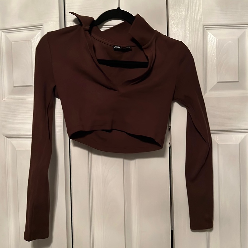 zara brown crop top